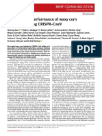 Superior Field Performance of Waxy Corn Engineered Using CRISPR-Cas9