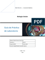 Biologia Informe