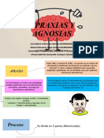 Praxias y Gnosias