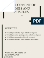 Development of Muscles and Limbs