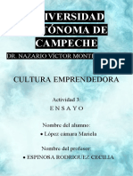 Ensayo Sobre La Cultura Emprendedora