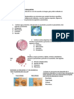 Act. Conocimientos P. 6°