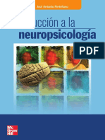 Introduccion A La Neuropsicologia