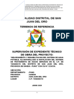 Tdr-Supervision Exp Tec Puno