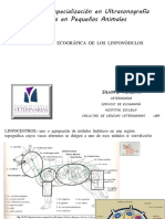 Ecografia de Linfonodulos