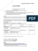 Exercise 15 - Muscular System: Richland College Biol. 2401 Marieb A&P Lab Manual - 9 Edition