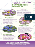 Infografía Floricultura