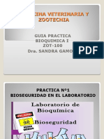 Practica 1 Zot100