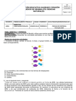 Bimestral Octavo Genetica y Herencia