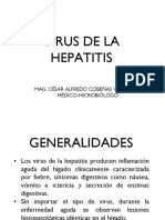 Virus Hepatitis A, B, C, D, e