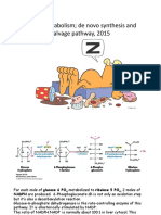 Purine Metabolism de Novo Synthesis and Salvage Pathway, 2015