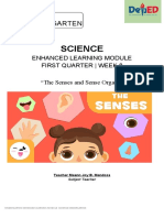 Sample Kindergarten Module