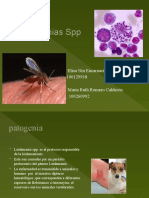 Leishmanias SPP Elisa Nin Encarnacion 100129918