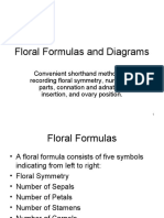 Floral Formulas and Diagrams