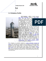 Project Report FINAL DLF