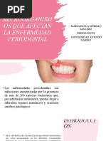 Microorganismos Que Afectan La Enfermedad Periodontal