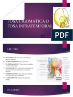 Fosa Cigomática y Pterigomaxilar