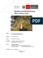 Informe de Proyecto CONOCIENDO LOS BENEFICIOS DEL Schinus Molle