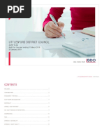 BDO Audit Plan and Program