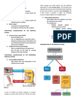 The Nervous System - Notes