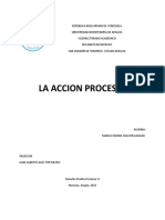 Practiva Forense Vi Accion Procesal