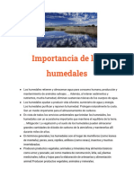 Importancia de Los Humedales