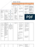 Nursing Care Plan: Precipitating Factor