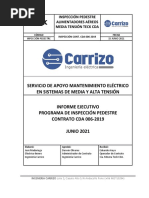 Informe Inpeccion Pedestre Junio 2021