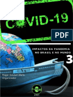 Impactos Da Pandemia No Brasil e No Mundo