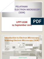 SEM LPPT 240918