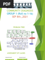 COMMUNITY DIAGNOSIS Group 1