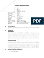 Informe Final - Neuropsicología