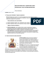 Taller Morfo I - Sistema Respiratorio 2021 .