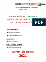 Informe Del Proyecto de Elaboracion de Jabon