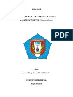 Biologi - Makalah Kultur Tanaman Wortel - ADAM RIZQI ARAZI - 01 - XI MIPA 2