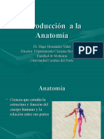 1 (1) .1 - Generalidades de Huesos, Músculos y Articulaciones