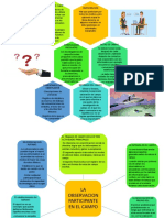 Esquema de Observacion Participante en El Campo