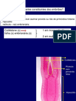 Slides Selecionados 2015