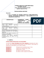 Parcial Labores Agricolas Complementarias Oct 7