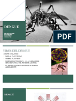 DENGUE