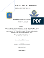 Tesis Doctoral PP