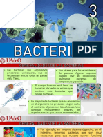 Bacterias