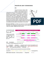 Condensación Del Adn y Cromosomas