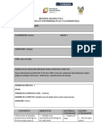 Formato Reporte de Practica.