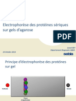 Electrophorèse Des Protéines Sériques Sur Gels D Agarose