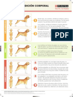 Purina - Sistema Condicion Corporal Perro Span