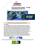 D-CKFG Series Cast Iron Three Phase Asymchronous Motor