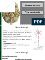 Sistema Nervoso: Neuroanatomia