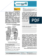 (Exercicios) Tecidos Conjuntivos