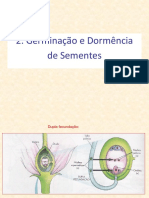 Aula 4 Germinação e Dormência